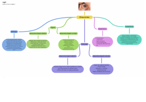 Glaucoma: Etiología, Signos, Síntomas, Diagnóstico y Tratamiento