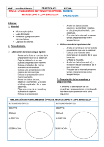 Práctica: Uso de Microscopio y Lupa Binocular (Bachillerato)