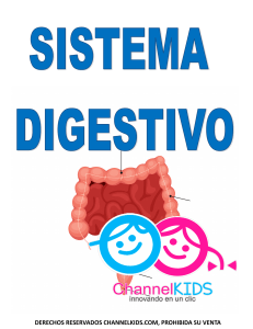 Sistema Digestivo: Hoja de Trabajo para Niños