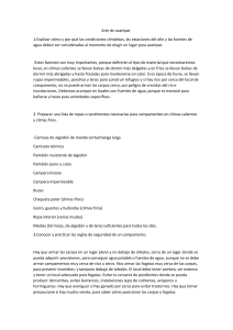Guía de Campamento: Habilidades, Seguridad y Naturaleza