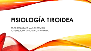 Presentación Fisiología Tiroidea