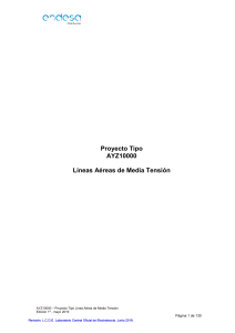 Proyecto Tipo LAMT AYZ10000: Diseño y Construcción